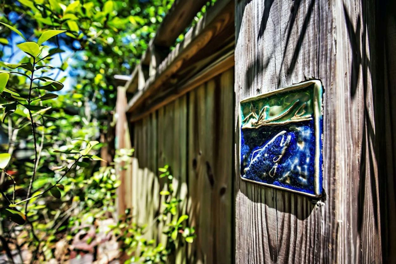 Charming 1923 Cottage At Erehwon Retreat Tampa Exteriér fotografie